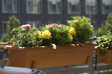 Balcony Garden