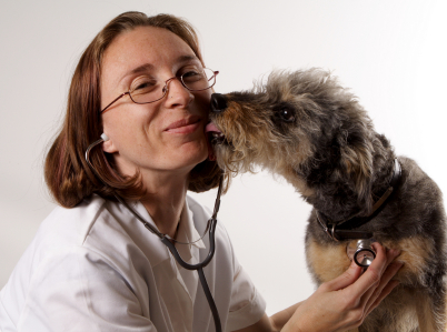 Dog Health