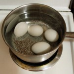 How to Boil Eggs