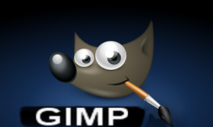 how to use gimp
